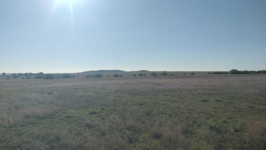 Commercial Property for Sale in Bloemfontein Rural Free State